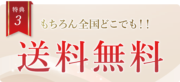 ペップビューの3倍の有効成分を誇る薬液導入キャンペーン4