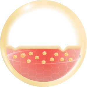 皮膚内に貯蓄